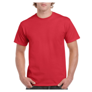 GD002 Men's Ultra Cotton Adult T-Shirt